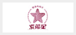 上海紫薇星贸易有限公司2012年度拓展训练营