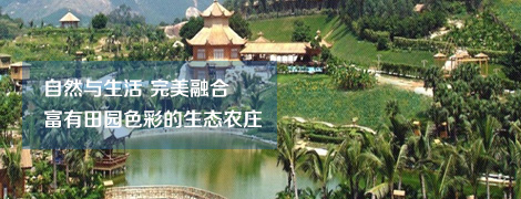 上海四季百果园拓展培训基地